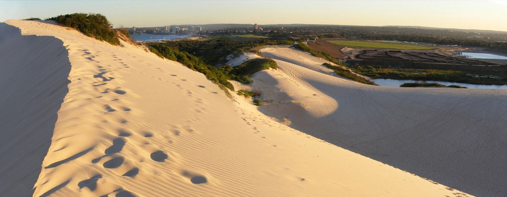 Cronulla Sand Dunes, Sutherland Shire