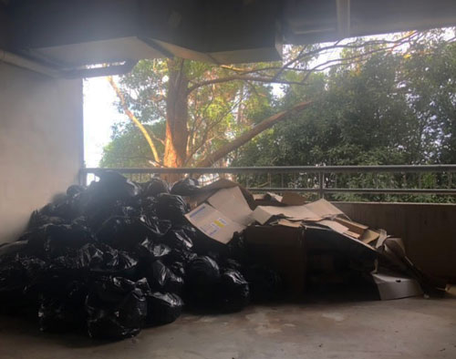 Before Rubbish Removal